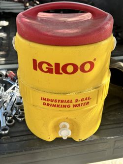 Igloo Water Jug
