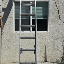 Tall Ladder 