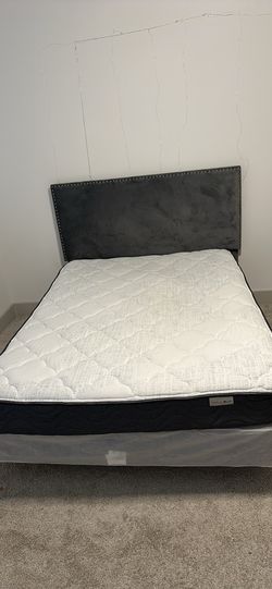 Queen Bed! Mattress, Box Spring, & Headboard