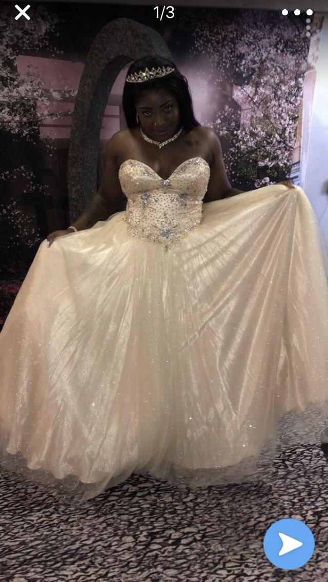 Prom / Quinceanera dress