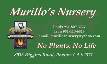 5 gallon bushes