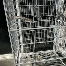 Bird Cage 