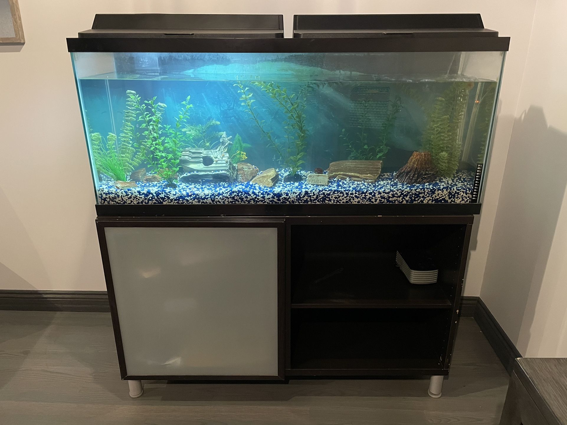 Aquarium 50 Gallon tank With Accessories