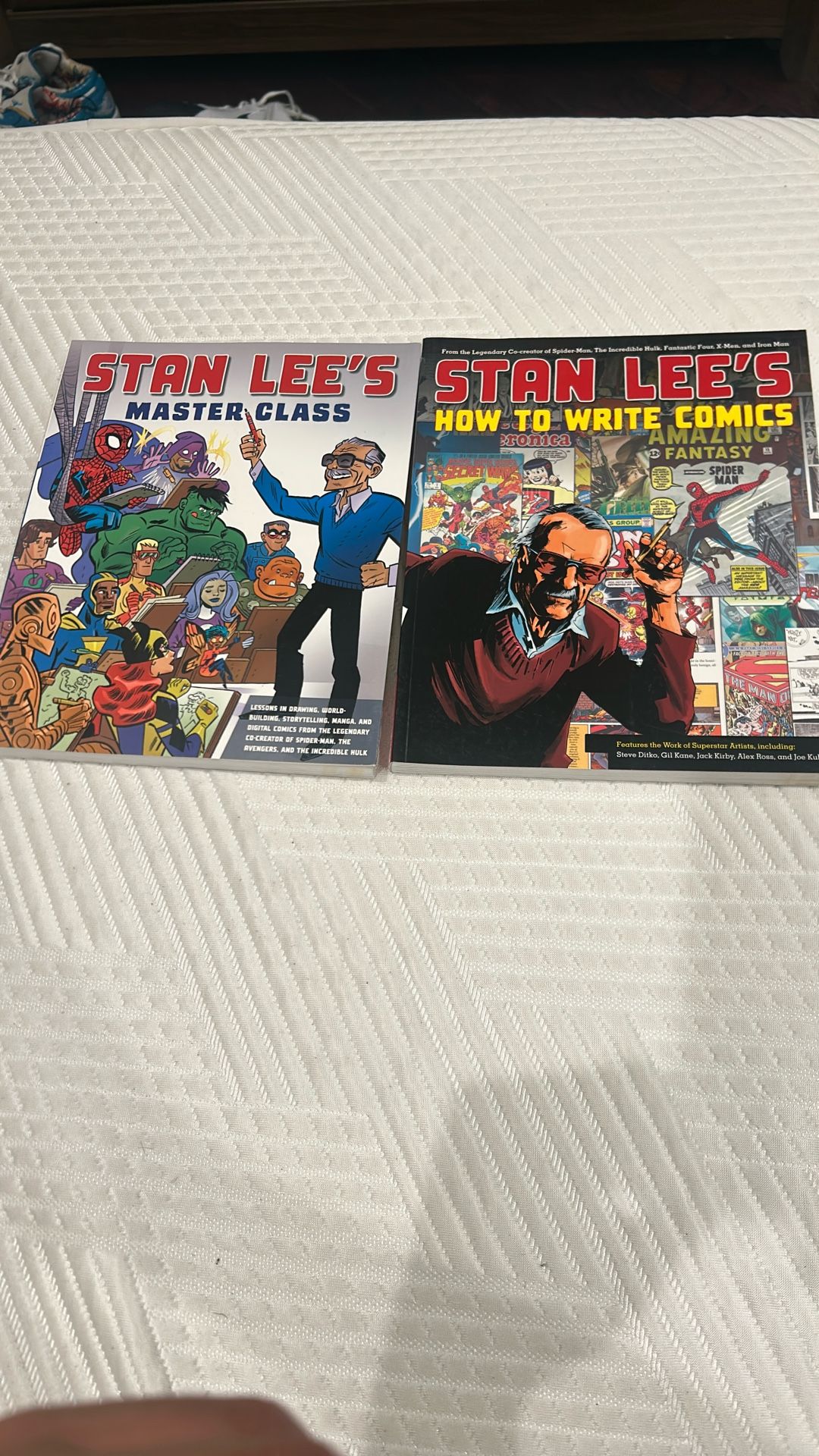 Stan Lee Master Class/How To Write Comics