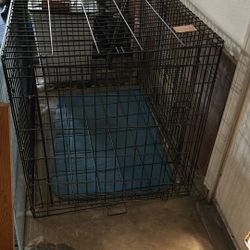 Dog Crate 