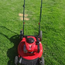 Lawnmower Troy-Bilt Push Briggs And Stratton Engine No Bag