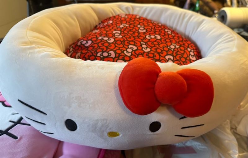 PET bed