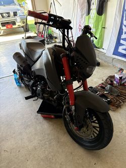 2023 Ice Bear Fuerza