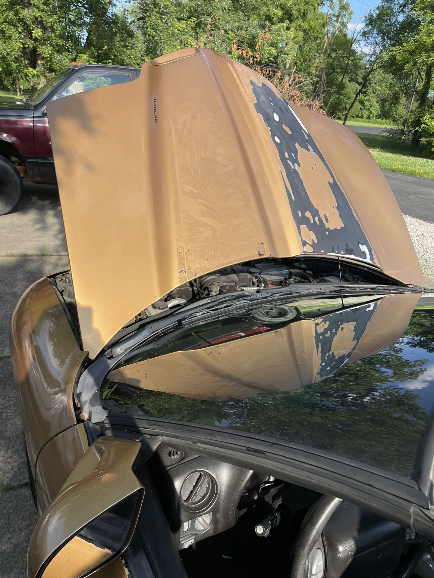 Real Factory Trans Am Ws6 Hood For Sale