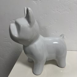 White French Bulldog 