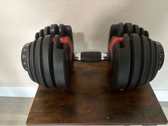 52.5 lb bowflex dumbbell (no stand)