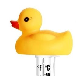 Pool Thermometer  Baby Duck
