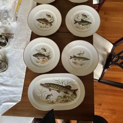 Unique German China For Fish Lovers