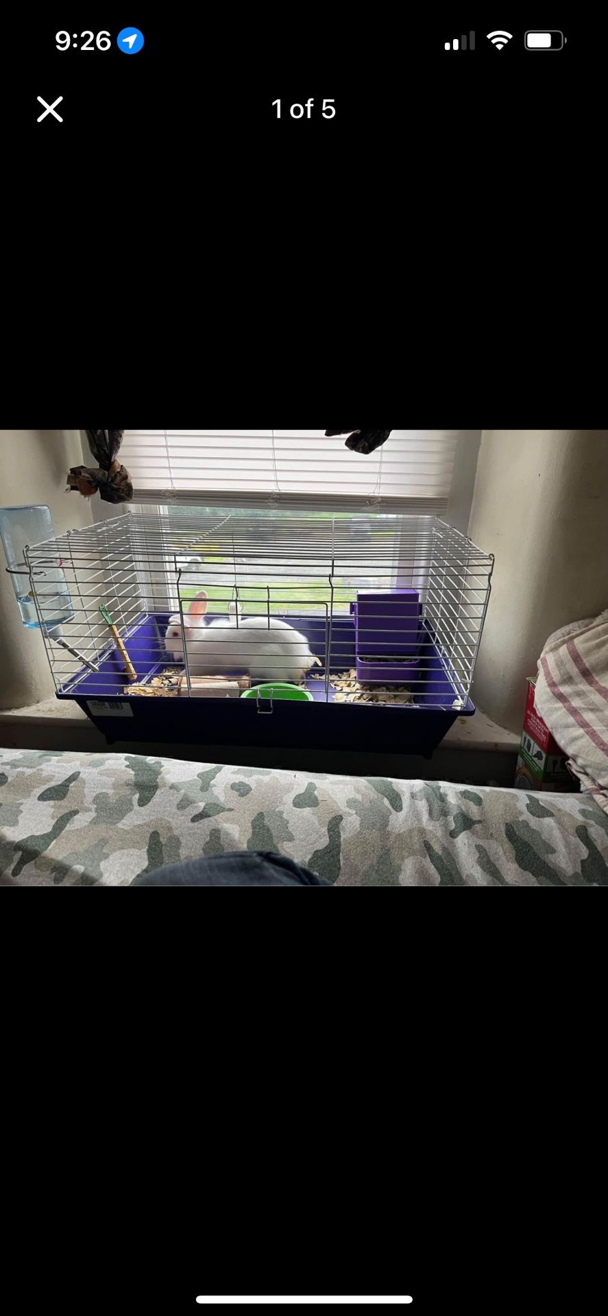 Rabbit Cage 