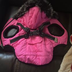 Winter Clothing For Dog 