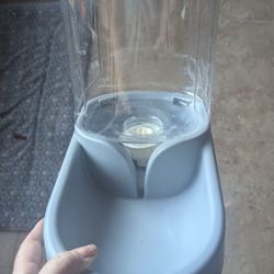 dog water dispenser and feeder