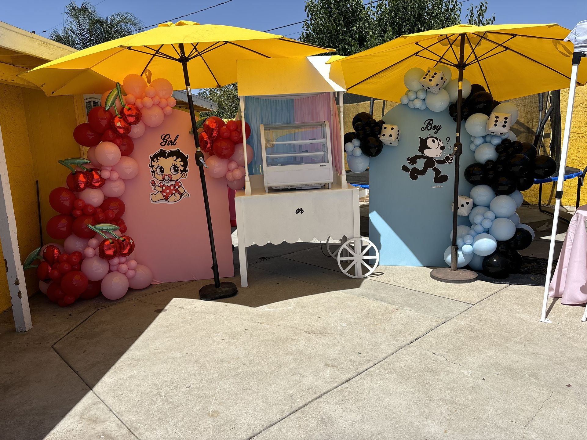Gender Reveal Back Drop