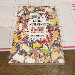 Social Movements The Structure Of Collective Mobilization