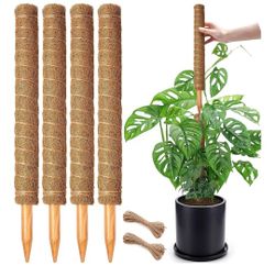 4pk Plant Climbing Stakes