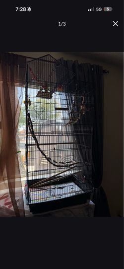 Bird Cage