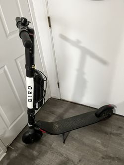 Bird Electric Scooter SHOOT OFFERS