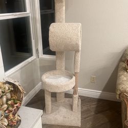 Cat Tree