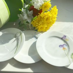 Desert Porcelain Plates Set Of Four By Crate And Barrel 