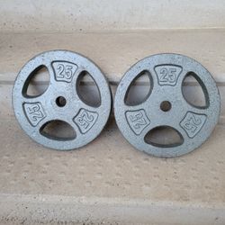 2- 25LB WEIDER WEIGHT PLATES 