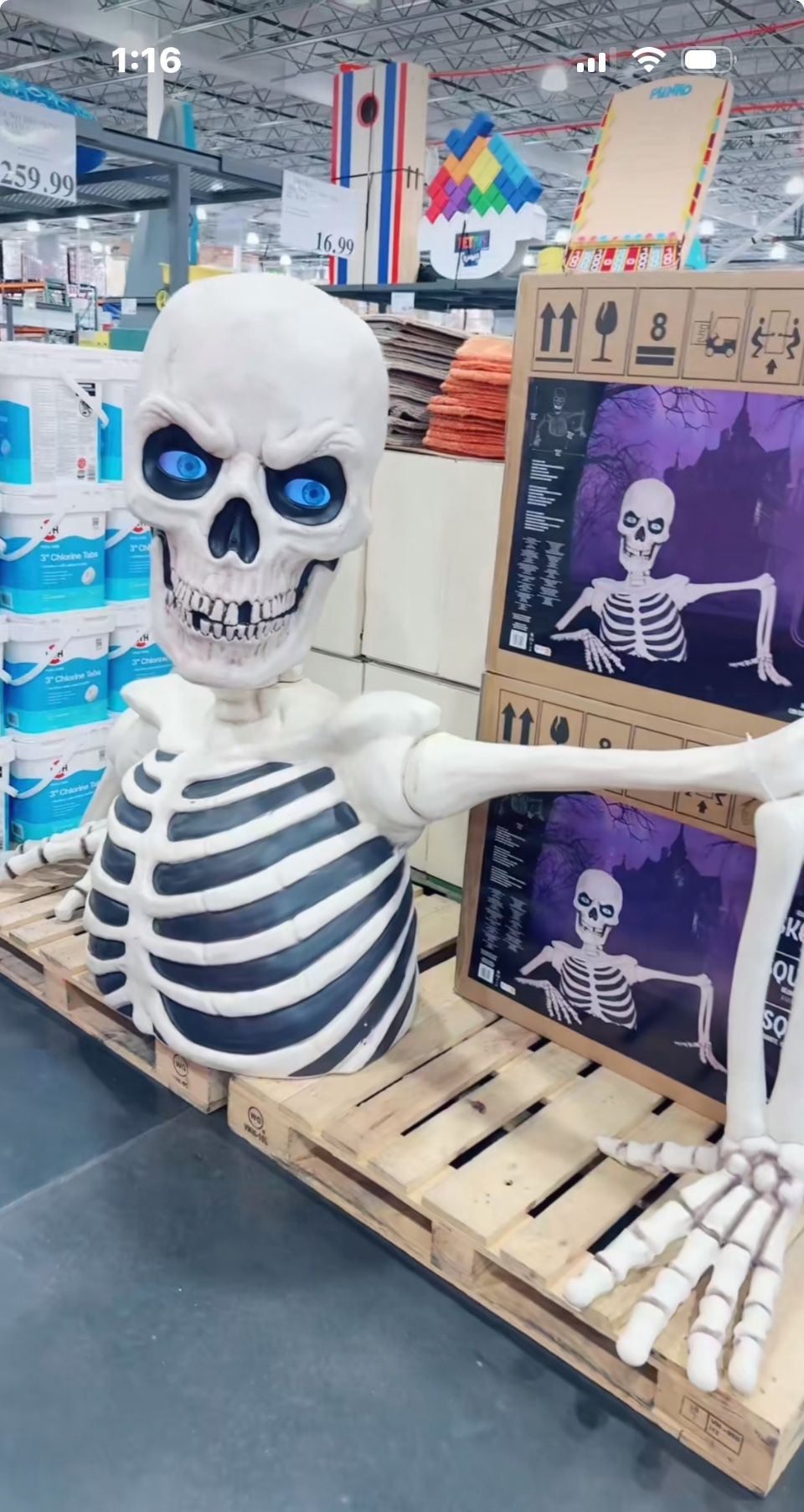 Giant Ground Breaking Skeleton with LCD Eyes and Sound