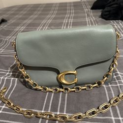 Coach Sage Tabby Bag