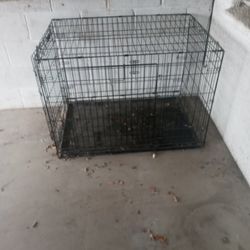 Dog Kennel