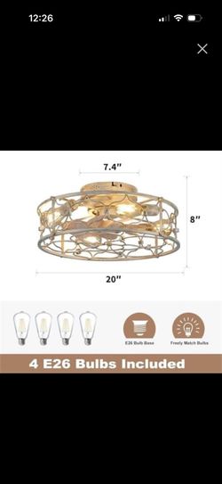 Rybiote Caged Ceiling Fans with Lights, 20" Flush Mount Fandelier Ceiling Fa (SR)