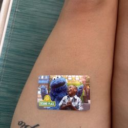 Sesame Place/Sea World Ticket 