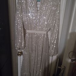 Arula Sequin Dress New