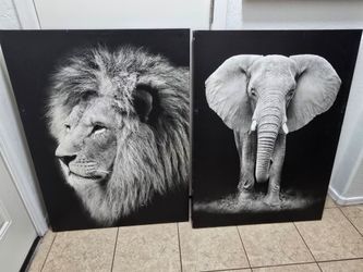 Lion and Elephant Canvas Art