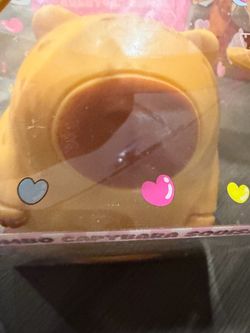Capybara Squishy Toy in Box