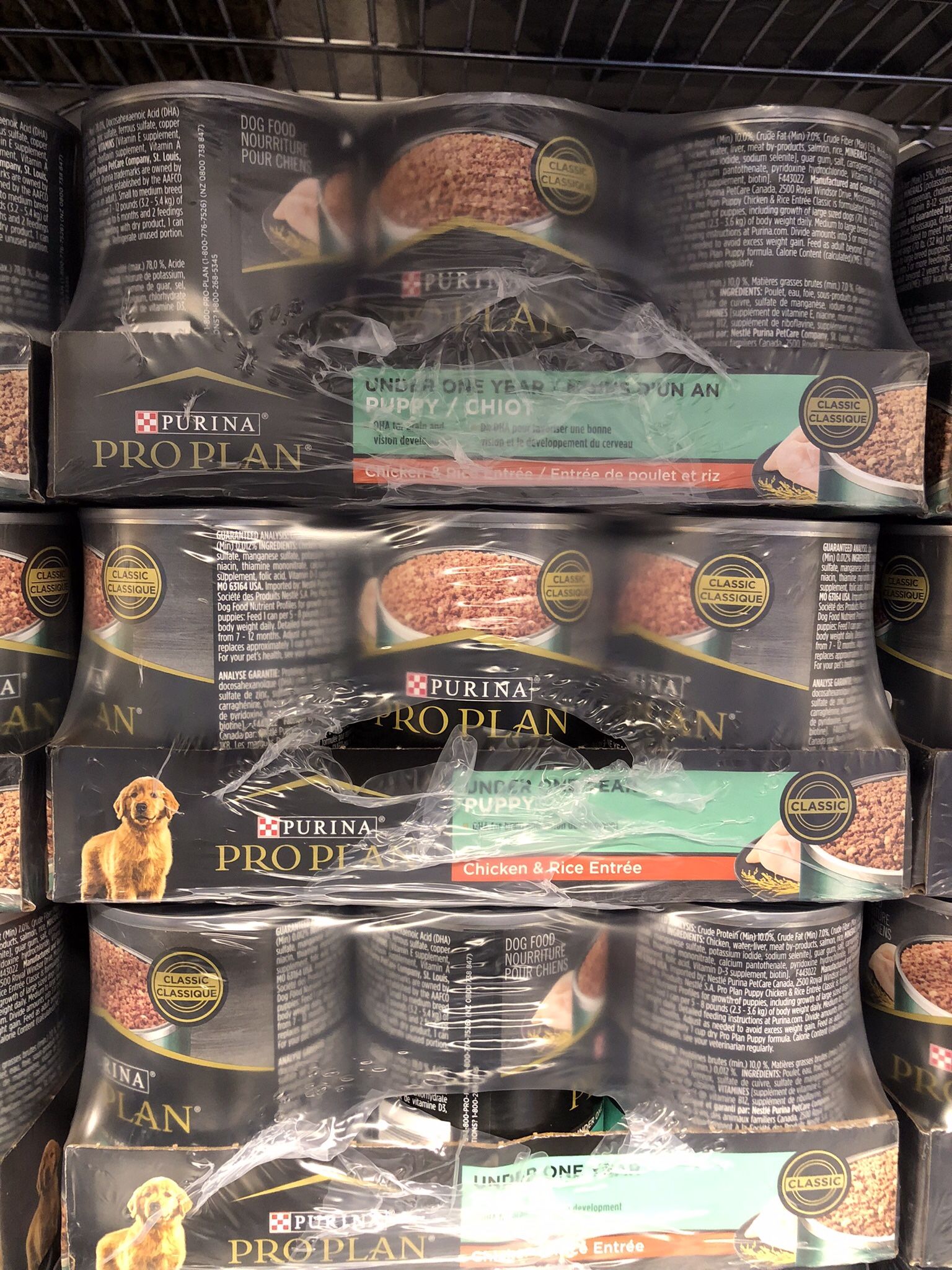 Puppy Food