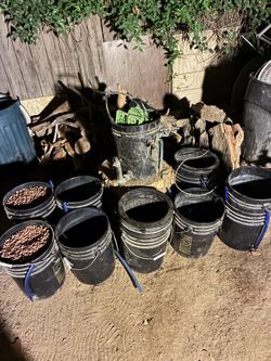 Full Hydroponic system