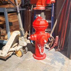 Retired Fire Hidrant