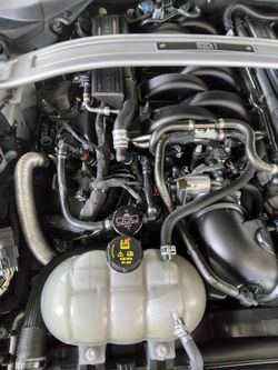 21 Mustang Mach 1 oil seperator