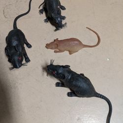 Rubber Prop Rats 