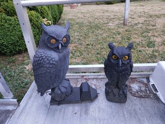 Owl garden decor.