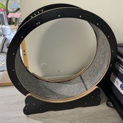 Cat Running Wheel