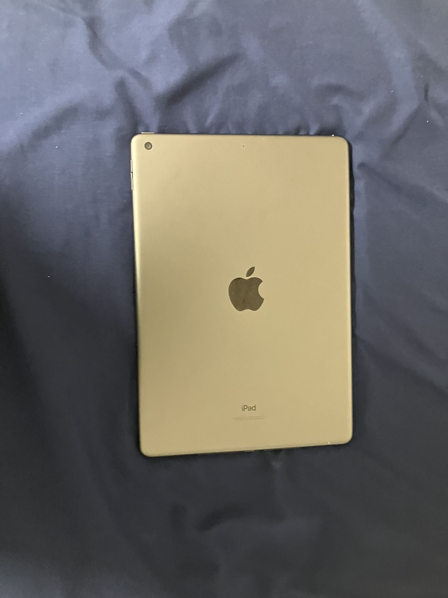 Space Gray iPad Air 9th Gen