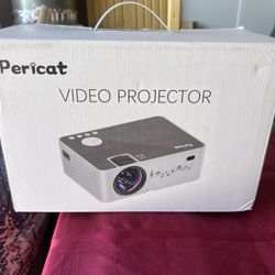 Projector