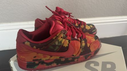 NIKE SB DUNK LOW PRO WOO QS  Women Size 4.5 