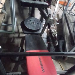 Bench Press