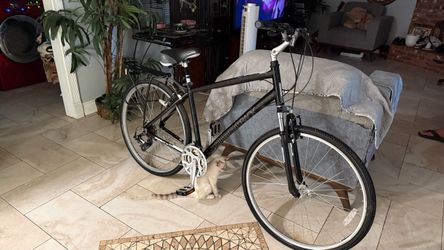 Diamond Back Hybrid Bicycle
