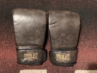 Everlast Flat Boxing Gloves 