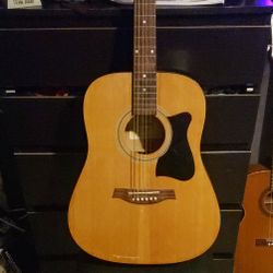 Ibanez Acoustic Guitar